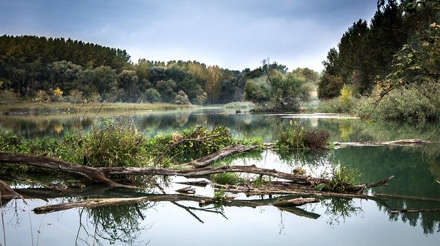 Riviere qui traverse chartres